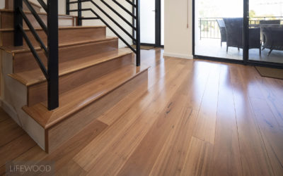 Blackbutt Flooring Project Maylands