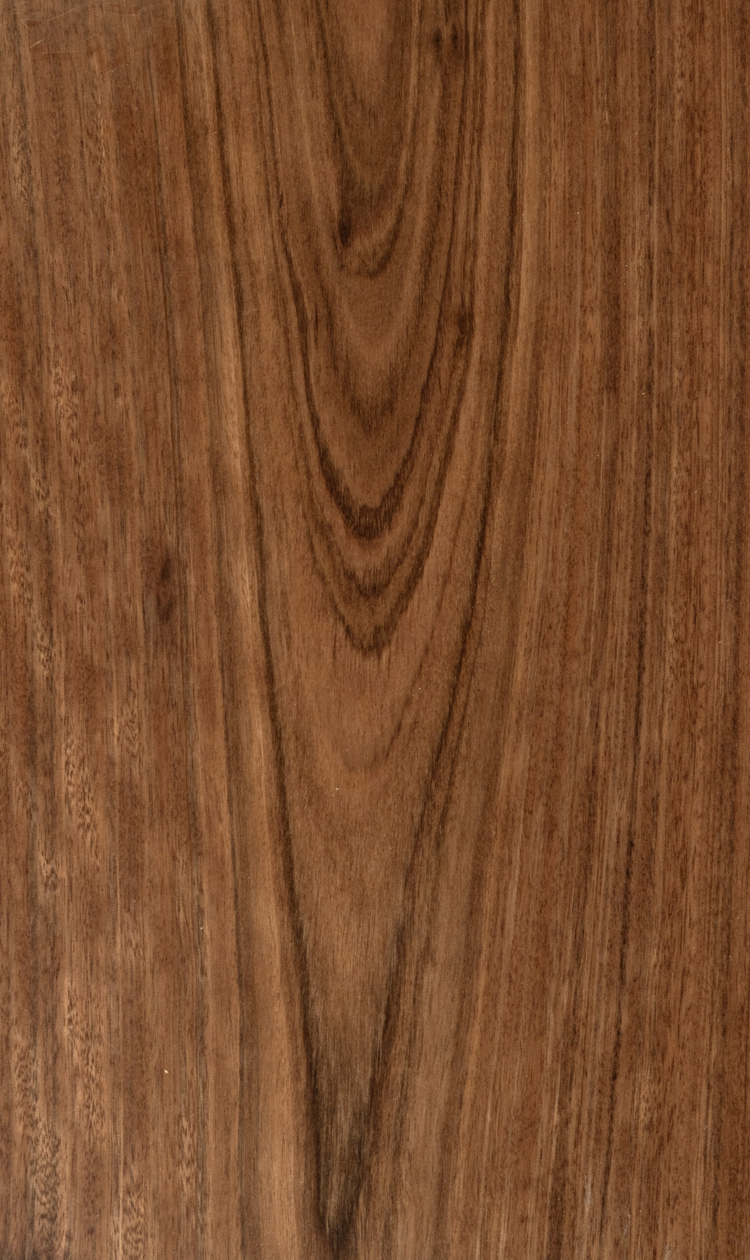 Tallow Wood flooring detail