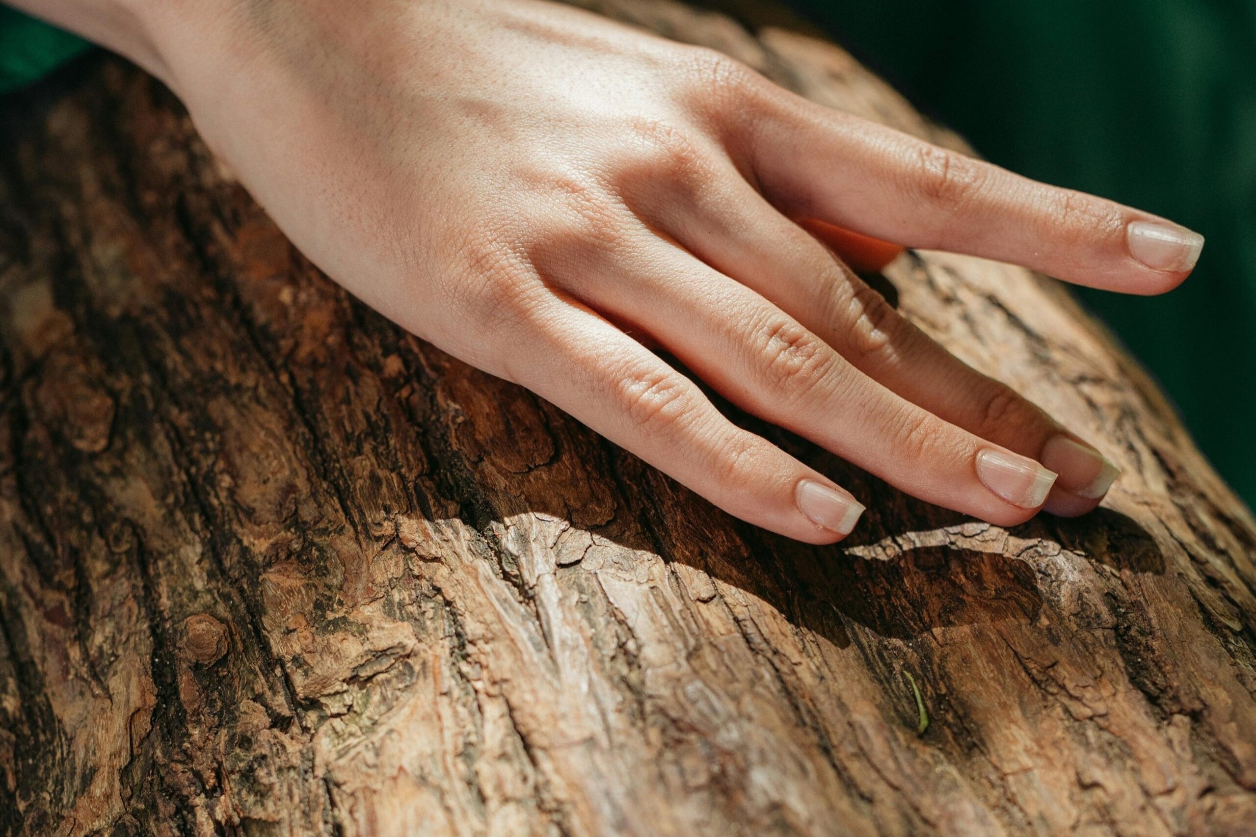 Spotted Gum Staircase